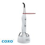 Coxo Z&H – Lámpara LED Fotocurado